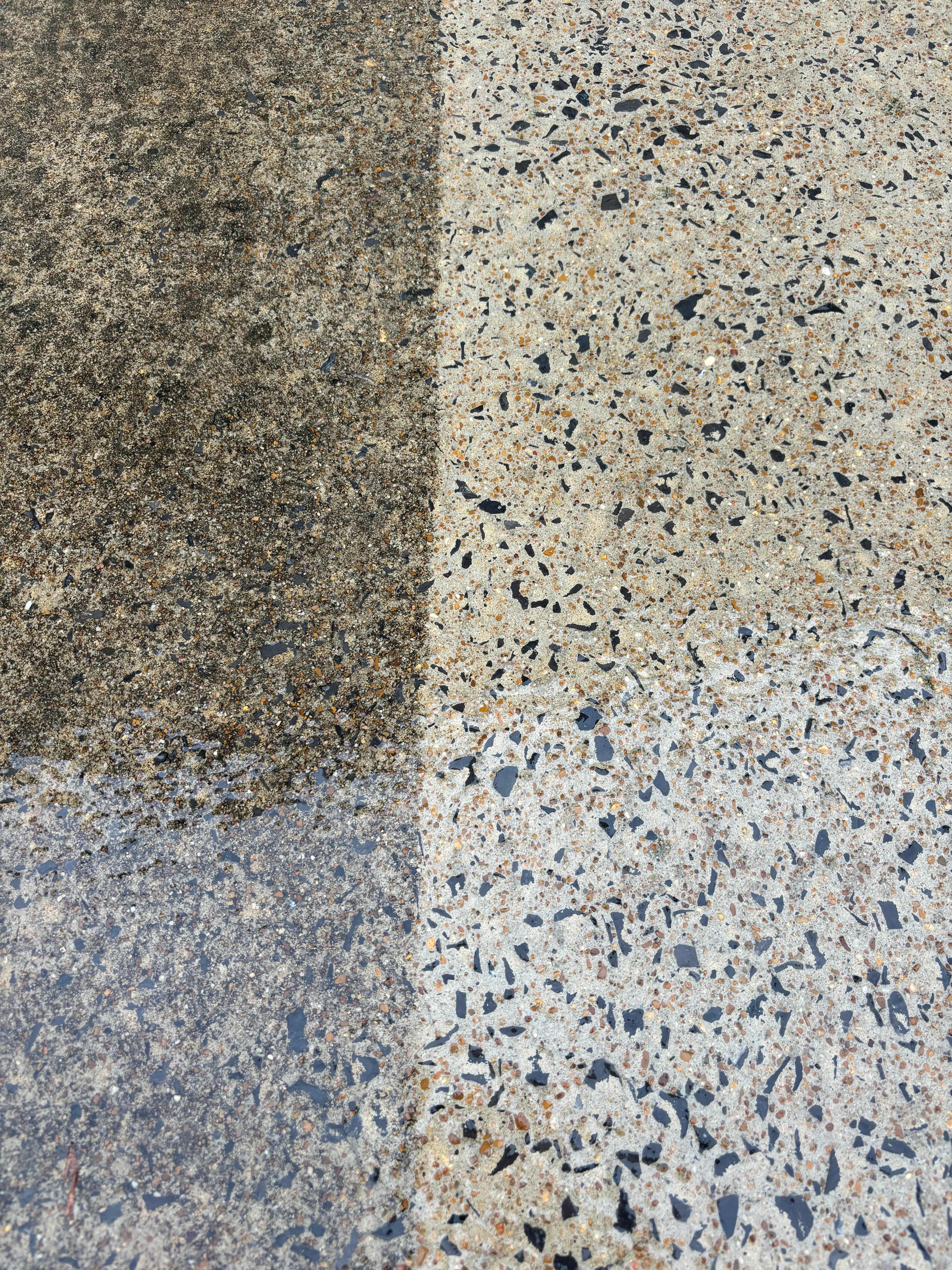 Before and After: Concrete Pressure Washing Results